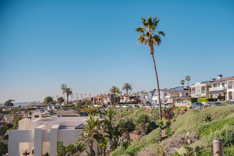 Newport Beach listing strategy search preview